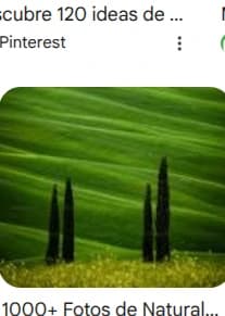 n-imagen-2 miniatura 4