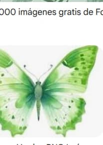 n-imagen-2 miniatura 5